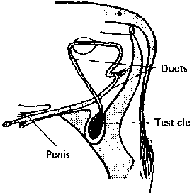 271x272 You Can Take A Good Look