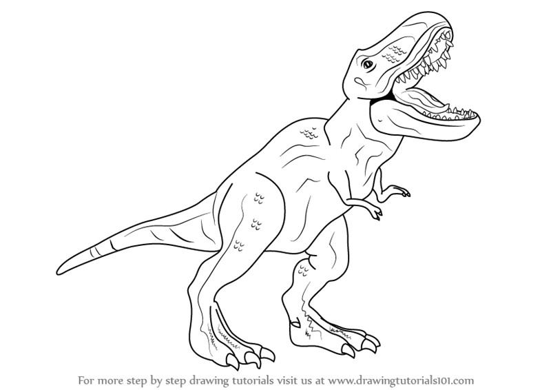 The best free Tyrannosaurus drawing images. Download from 327 free ...