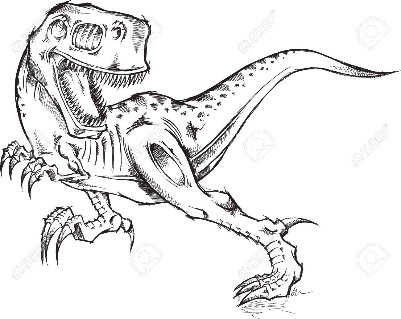 1300x1034 Sketch Doodle Tyrannosaurus Rex Dinosaur T Rex Illustration Art