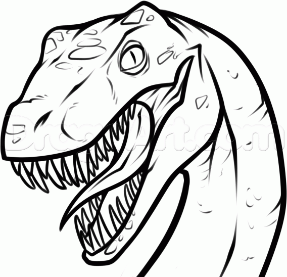 568x548 How To Draw A Raptor Head, Step By Step, Dinosaurs, Animals, Free
