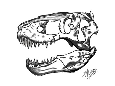 400x300 T Rex Skull By Firedragoness357