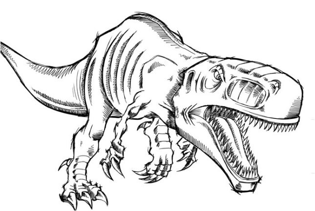 645x433 Dinosaur Coloring Pages