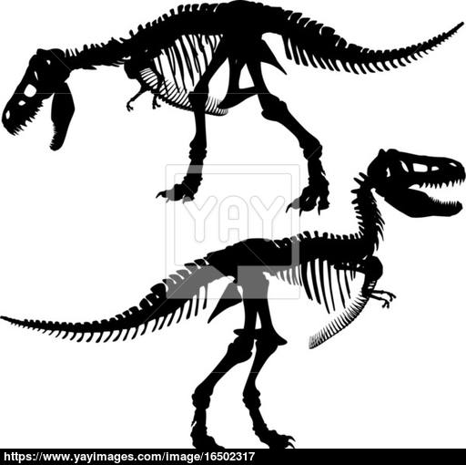 512x510 T Rex Skeleton Vector