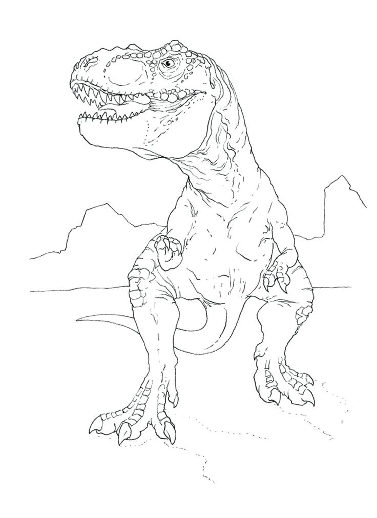 736x1012 Trex Coloring Page Coloring Pages T Rex Coloring Pages