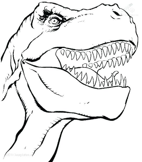 545x624 Trex Coloring Page Dinosaurs Coloring Pages T Rex Skeleton
