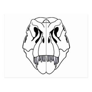 324x324 Tyrannosaurus Rex Skeleton Postcards Zazzle