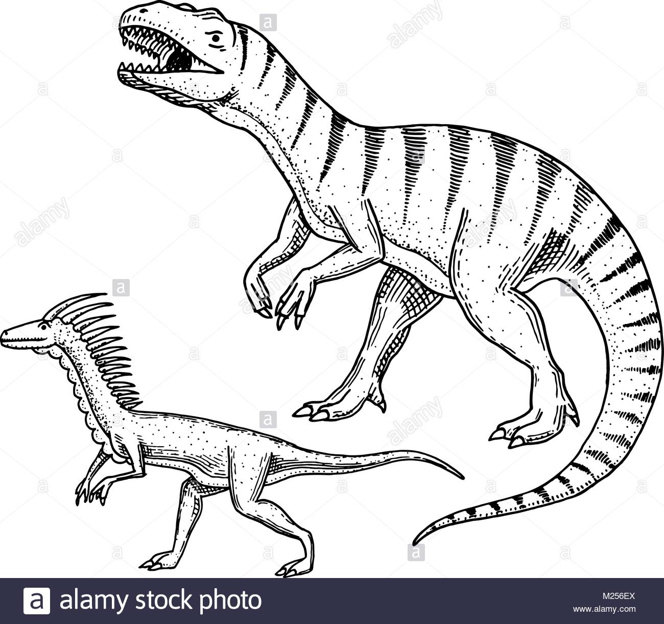 1300x1221 T Rex Black And White Stock Photos Amp Images