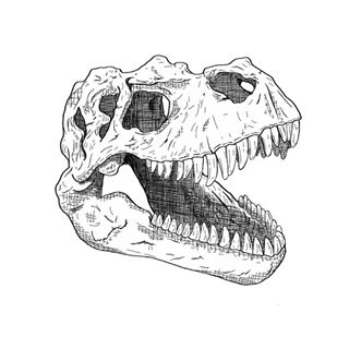 T Rex Skull Drawing at GetDrawings | Free download