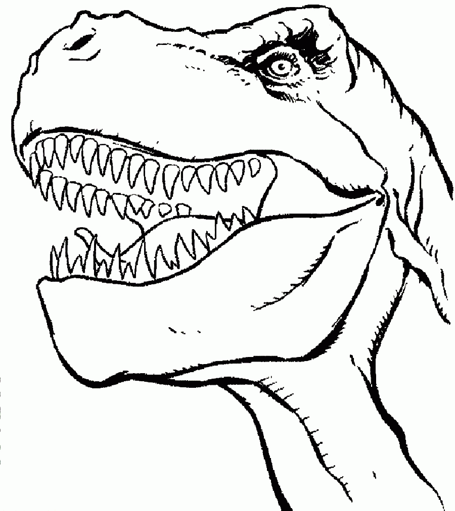 900x1012 Full Size Of Coloring Pagestyrannosaurus Drawing Cool