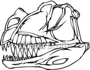 300x235 Of A Tyrannosaurus Rex Skull Royalty Free Clipart Picture