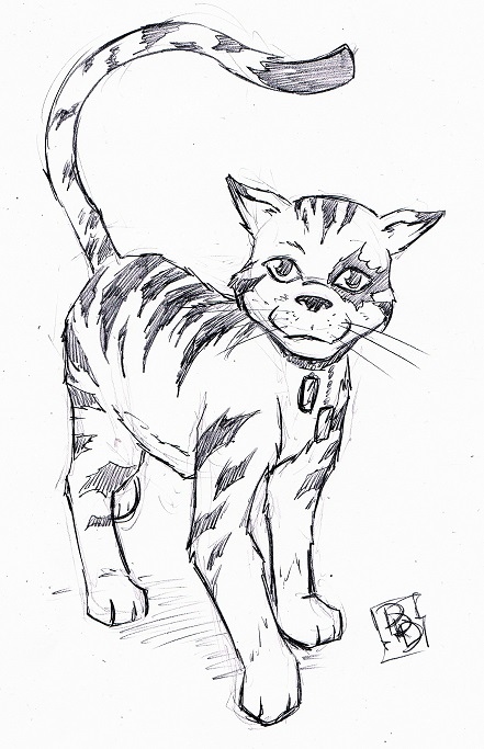 441x683 Interview With Stephen Kok About His Comic Tabby And His Success