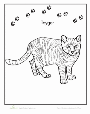 301x380 Toyger Worksheet