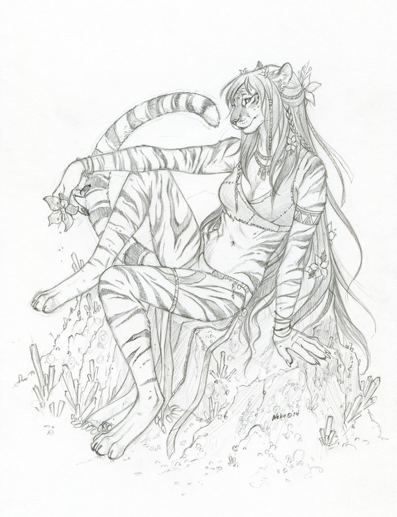783x1019 Sketchbook Golden Tabby Tigress By Neko Art