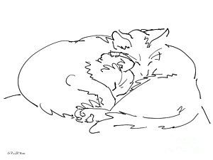 300x225 Tabby Drawings