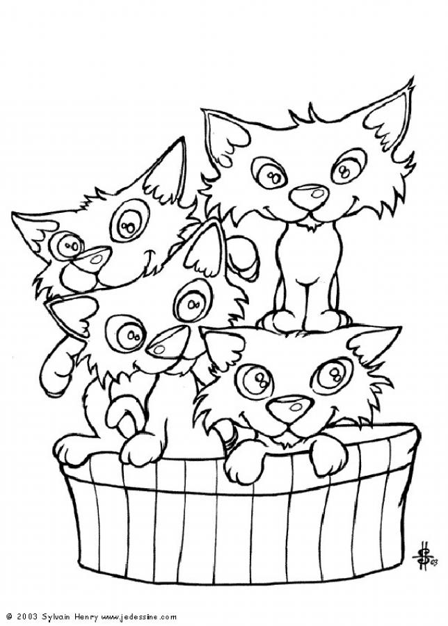 644x900 Tabby Cat Coloring Pages