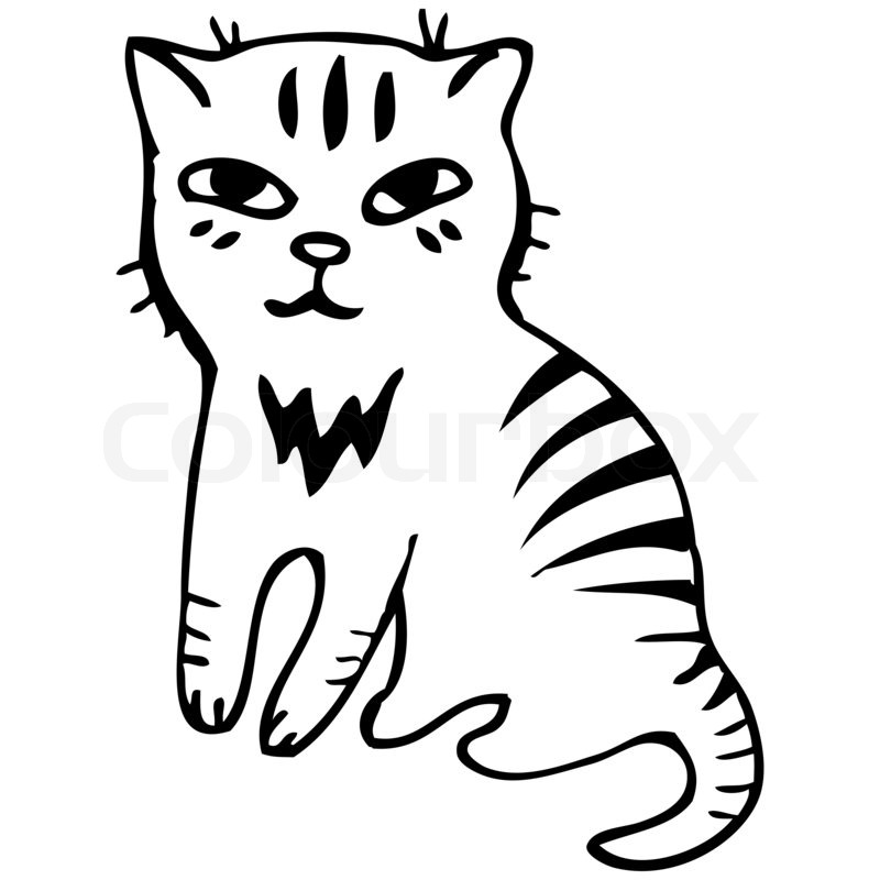 800x800 Tabby Cat. Black Outline Sketch Stock Photo Colourbox