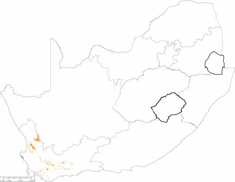 480x371 Fossil Heritage Layer Browser Sahra