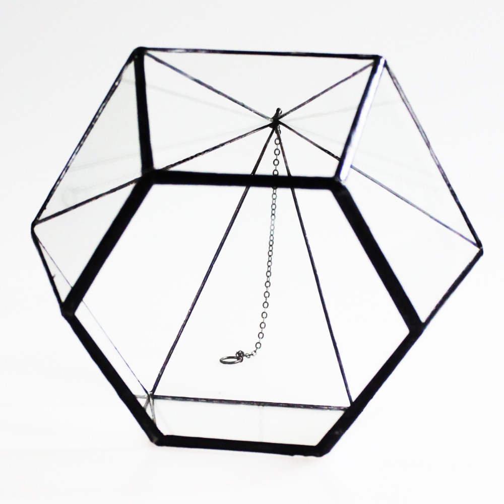 1000x1000 Bonsai Free Shipping Hexagon Glass Geometric Terrarium Box