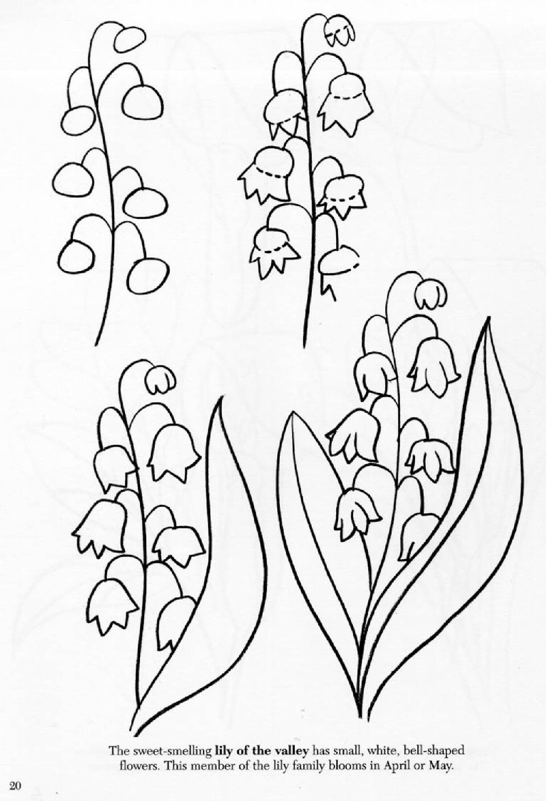 1091x1600 How To Draw How To Draw .