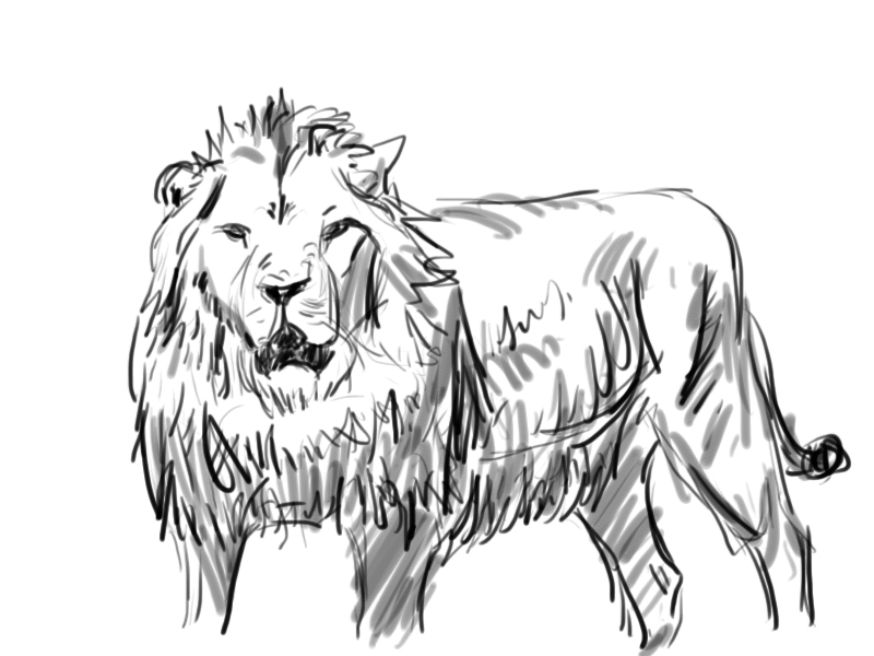 800x600 My First Tablet Drawing By Chazlene