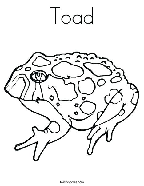 468x605 Tadpole Coloring Page Infoguide.club