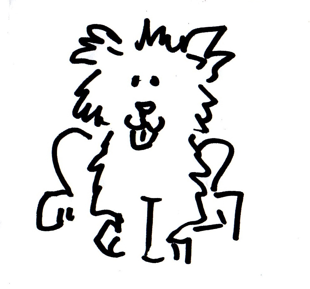 990x925 The World's Best Photos Of Drawing And Fluffy