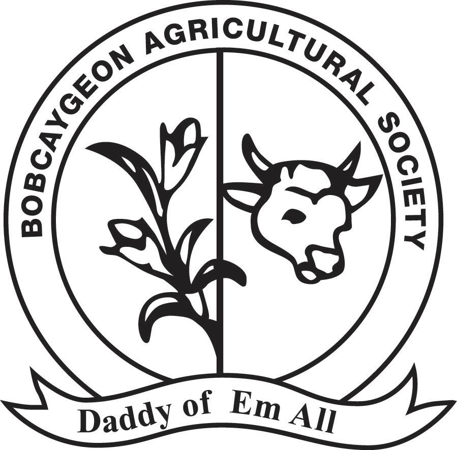 899x886 Bobcaygeon Fall Fair Talent Show