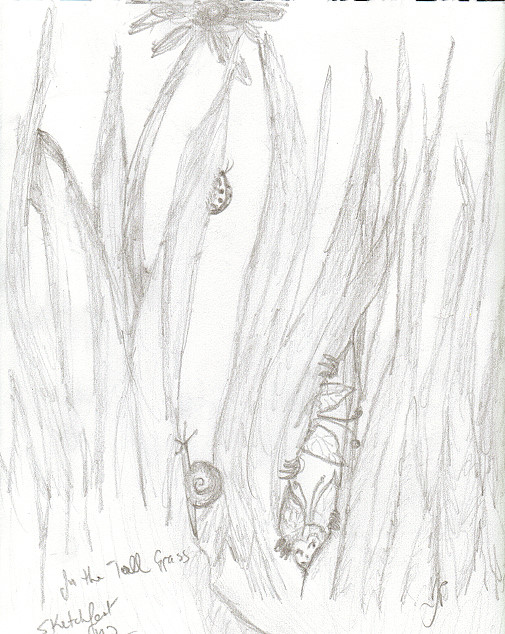 505x634 Sketch Fest!