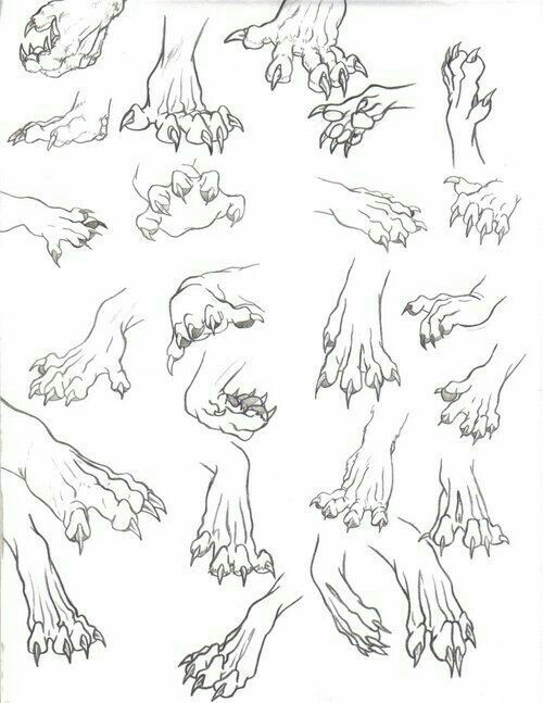 500x647 Animal Paws, Claws How To Draw Mangaanime How To Draw Manga