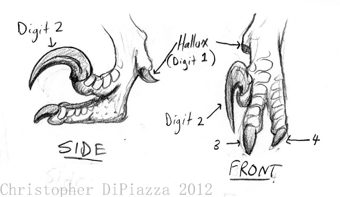 1357x787 Prehistoric Beast Of The Week A New Look