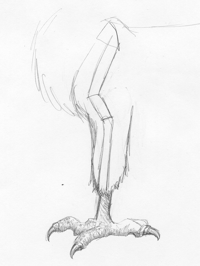 659x875 Untitled Document