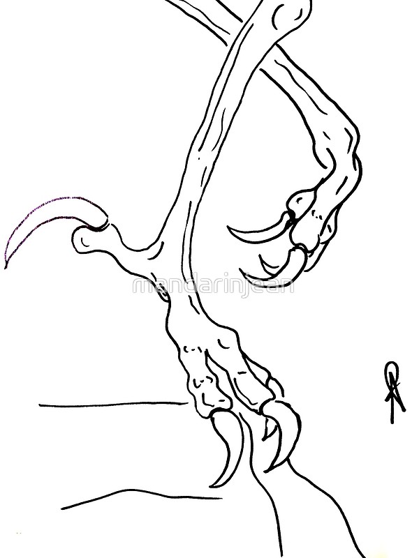 600x800 Eagle Talons Art Prints By Mandarinjean Redbubble