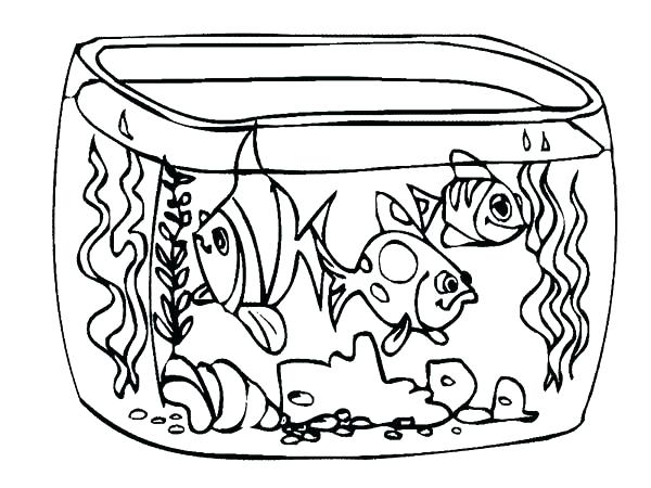 600x450 Fresh Fish Tank Coloring Page Free Download Aquarium How To Draw