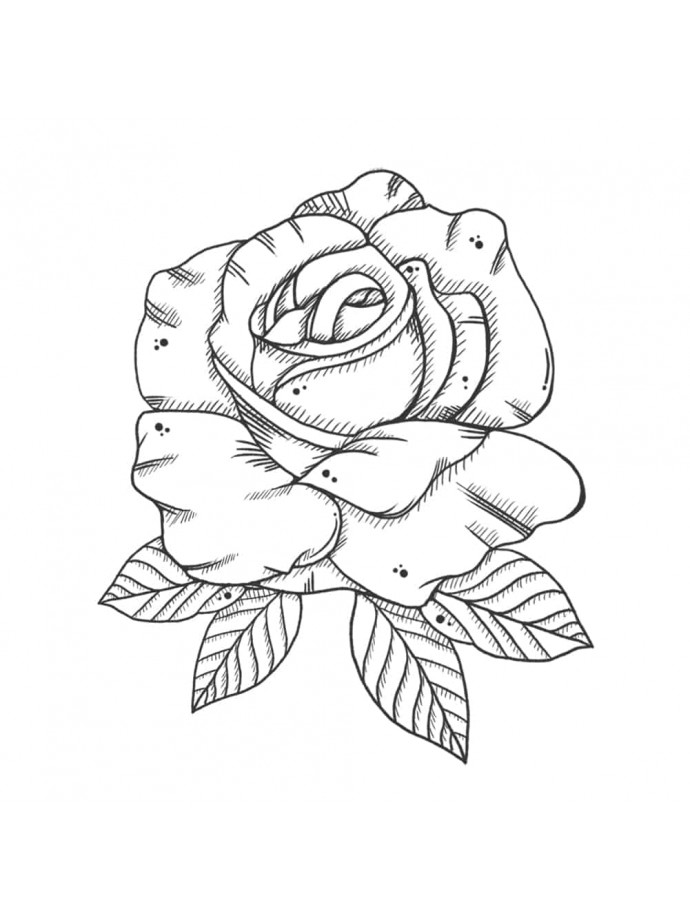 690x920 Top Woman White Rose Logo