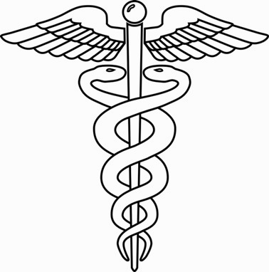 378x382 Human Tapeworms