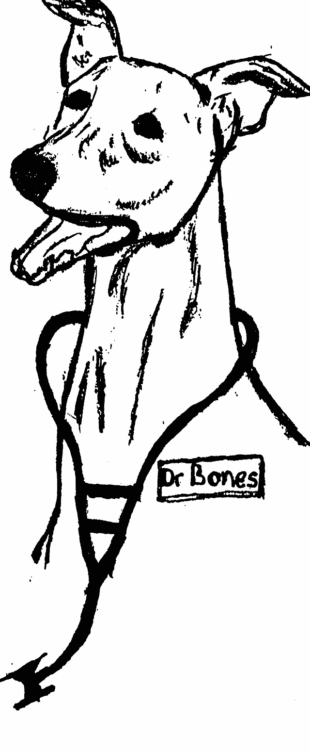 640x1550 Worms, Worms, And More Worms! Greyhound Articles Online