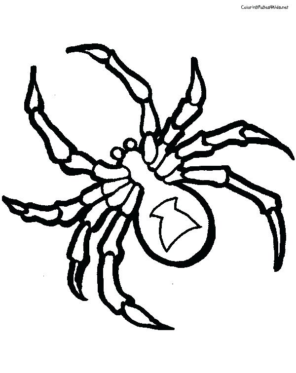 600x756 Tarantula Coloring Page Red Back Spider Drawing Spider Coloring
