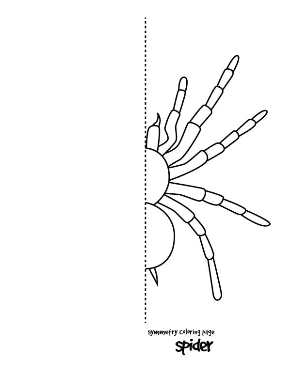 600x776 Tarantula Spider Symmetry Coloring Page Color Pages Free Murs