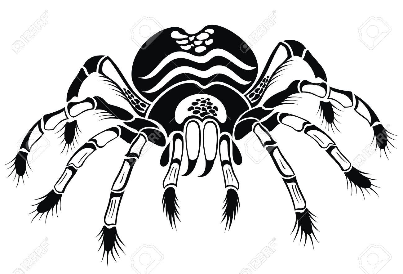 1300x883 Black Tarantula. Tattoo Spider Royalty Free Cliparts, Vectors,