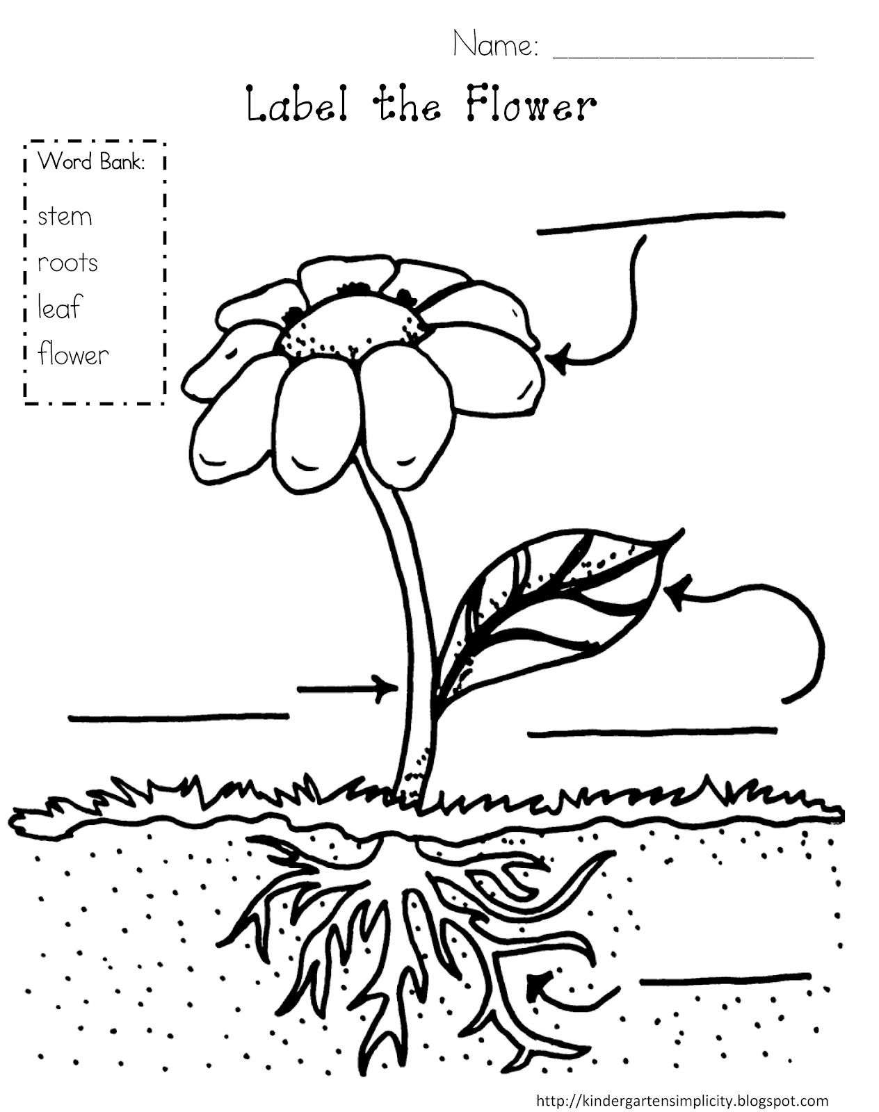 1264x1600 Parts Of A Plant Coloring Pages