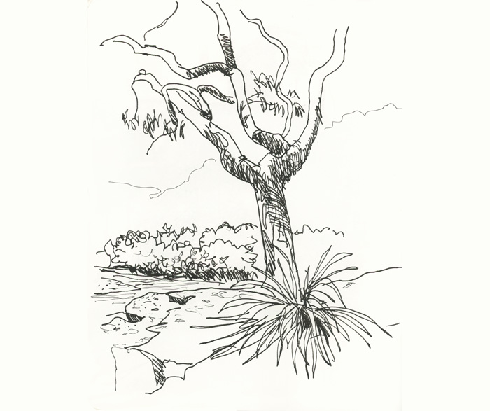 700x587 Sketches From My Summer Break