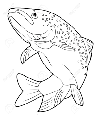 208x243 Image Result For Drawings Of Trout Stitching Trout