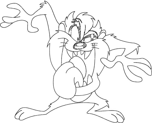 600x488 Tasmanian Devil Coloring Pages Team Colors