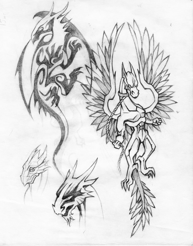 792x1009 Dragon Tatoo Sketches By Shade Shypervert