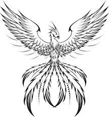216x233 Image Result For Phoenix Drawing Tattoos Phoenix