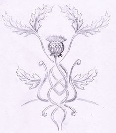 236x270 244 Best Tattoos Images On Nautilus Shell, Tattoo