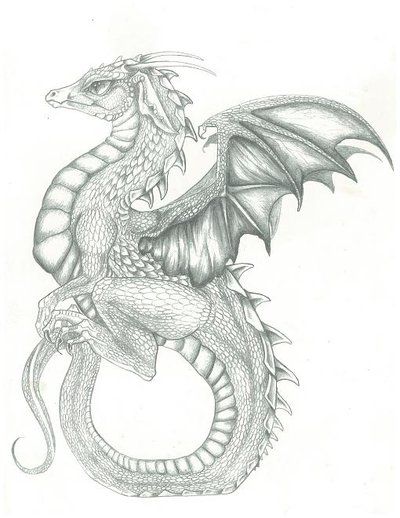 400x518 Dragon Sitting Tail By