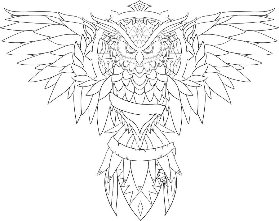 900x715 Best Photos Of Owl Outline Designs