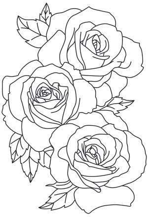 300x439 The Linework Of These Large Blooms Give A Lavish Feel To This