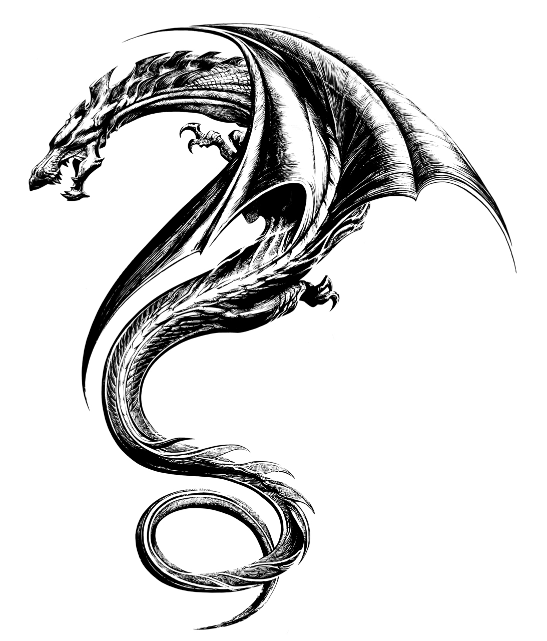 1093x1280 Collection Of Dragon Tattoo Drawing